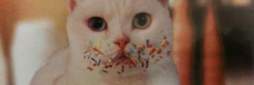 LRundueva's profile banner image