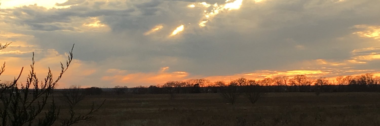 Whitney Martinez banner