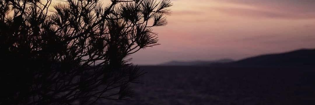 AljaPz's profile banner image