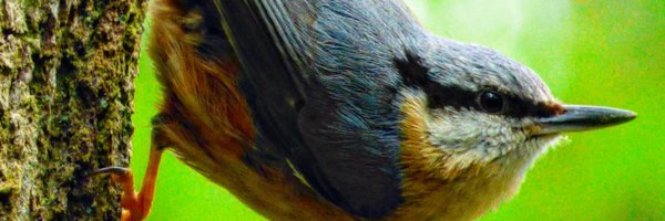 DudleyNature Profile Banner