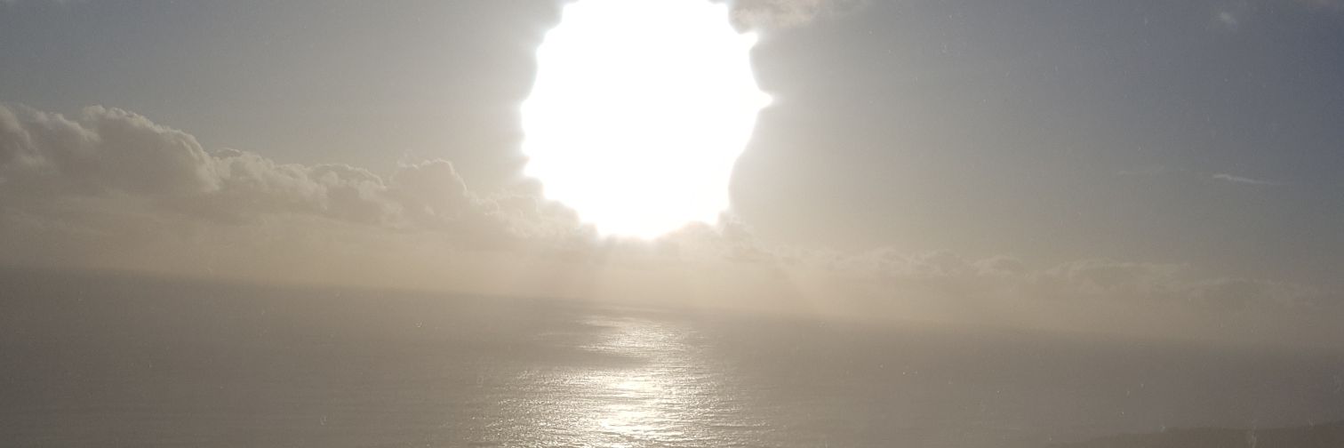 Newly Balanced banner
