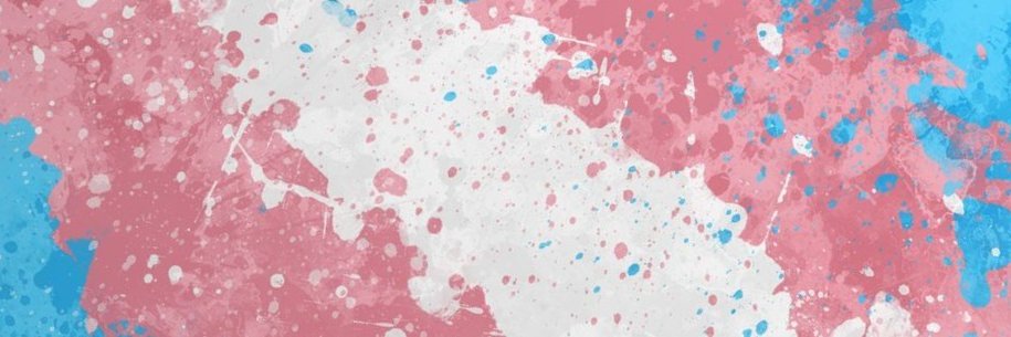 Lexi, Trans Top banner