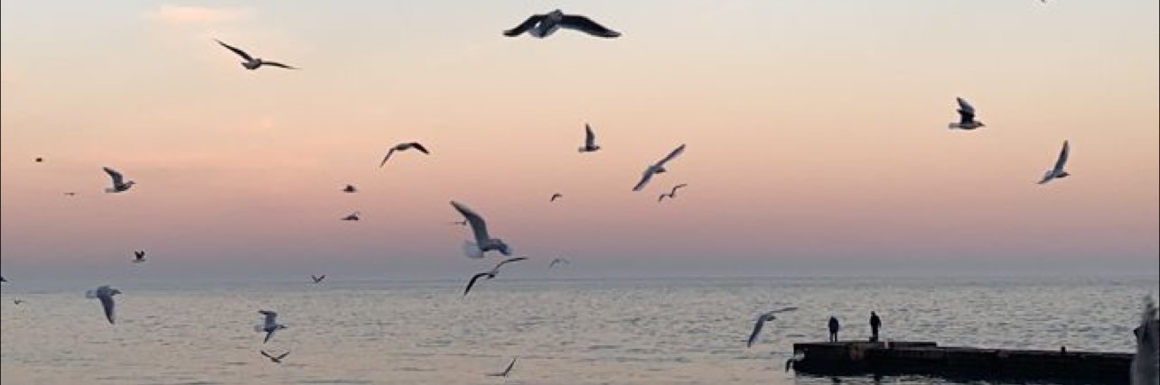 سارَه الغامدِي. banner