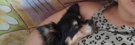 KarlaEloise's profile banner image