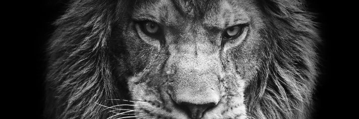 VannessaNavar18's profile banner image