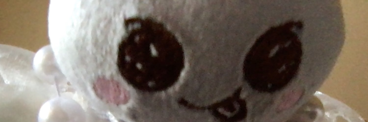 ˗ˋˏ❀ *ʍ**꙳ 🍮⋆ ✮ˎˊ˗ banner