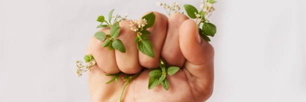 The Duke of Ngong🇰🇪 banner