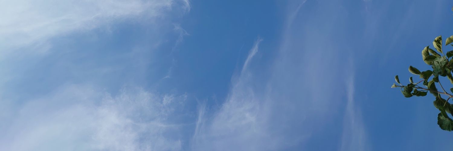 ko_ha_gi's profile banner image