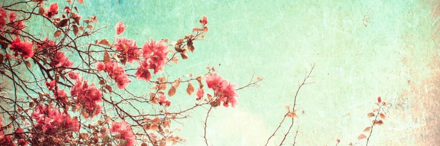F1_Nina's profile banner image