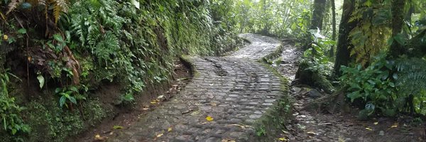 WilliamsNietzs3 Profile Banner