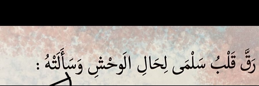 Sal banner