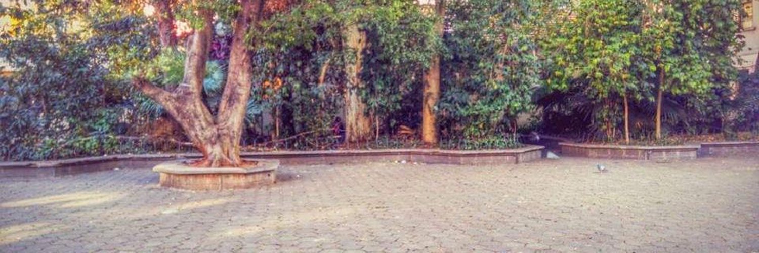EtespSpotted's profile banner image