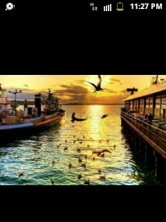 aamm11757's profile banner image