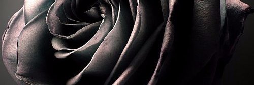 DanielIllusive's profile banner image