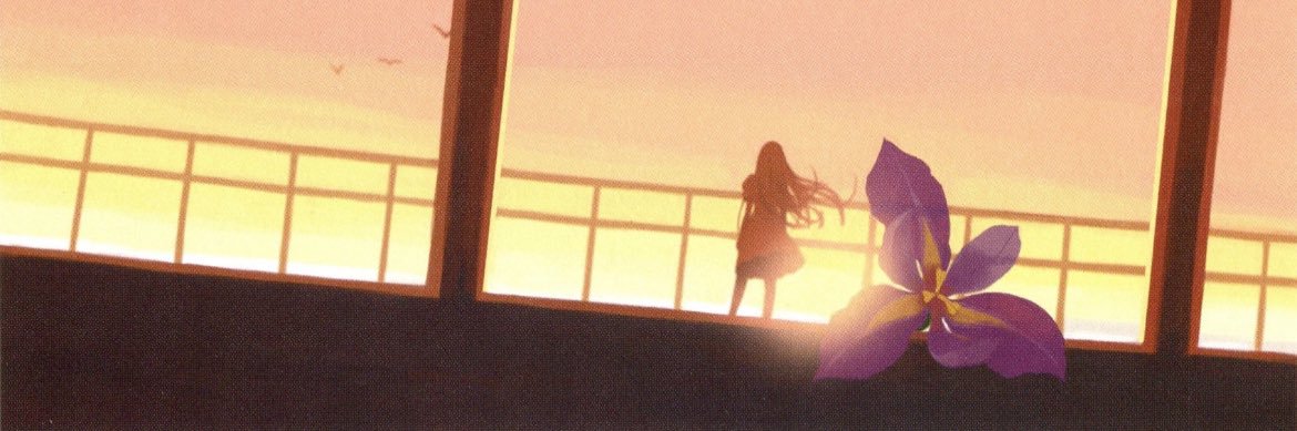 what is your name? 🇵🇸 banner