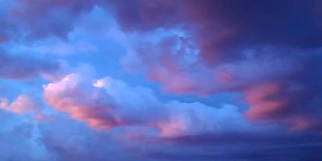 ShannonRNC's profile banner image