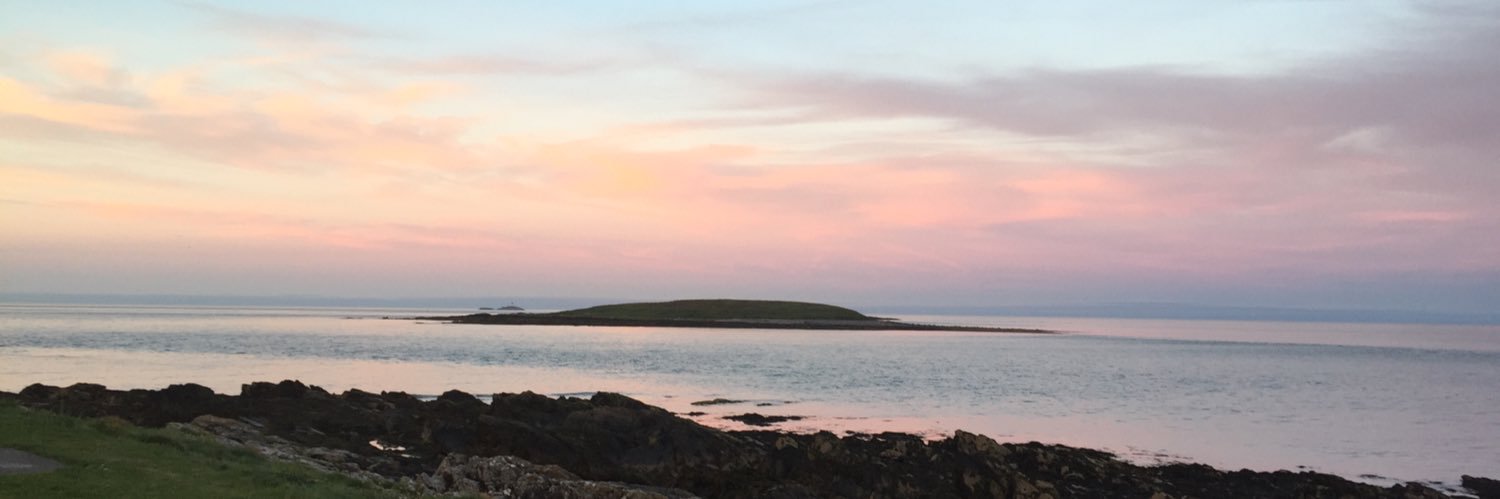 Caroline Lynam banner
