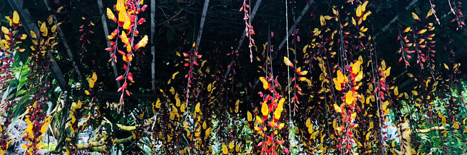 L_Cocker_'s profile banner image