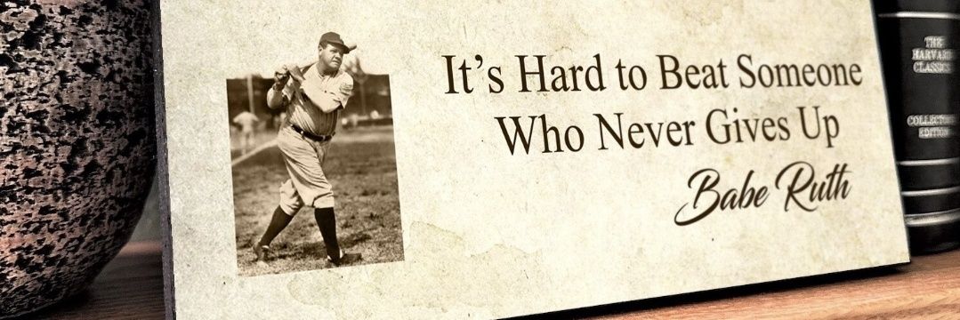 Shark Bait 🦈❄️ banner