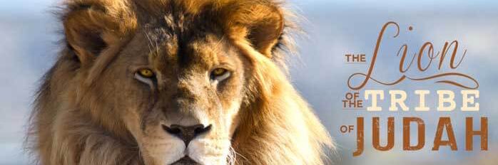 Moorkopje😊YAHUSHA= THE WAY,THE TRUTH&THE LIFE🔥🕊's banner