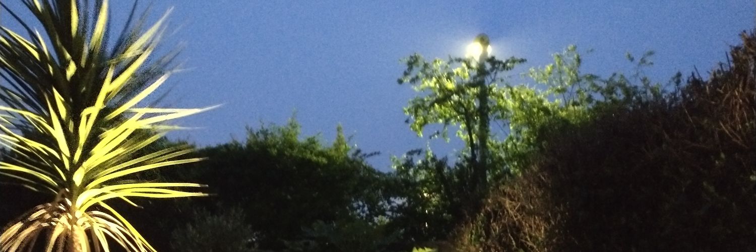 Stu banner