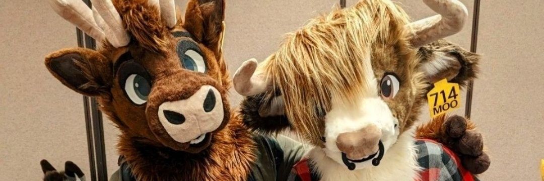 Barlow & Rasco! banner