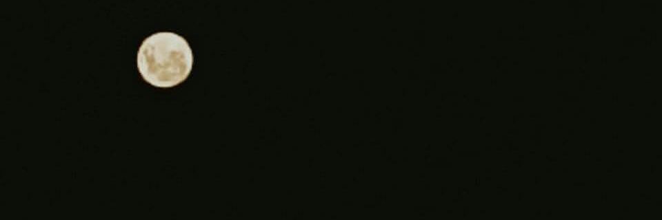 Pilar___pp's profile banner image