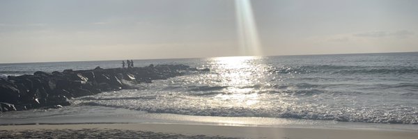 joycelabriola Profile Banner