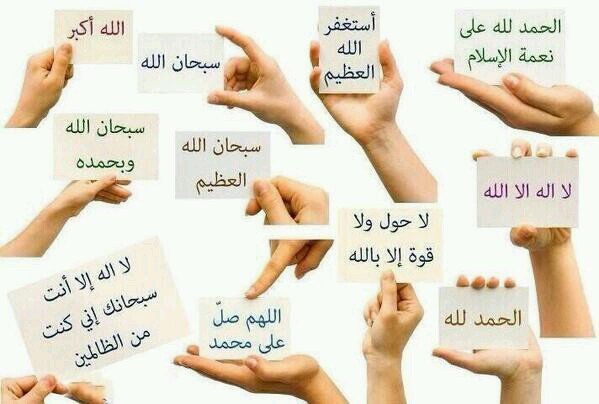 MeshariAlqabani's profile banner image