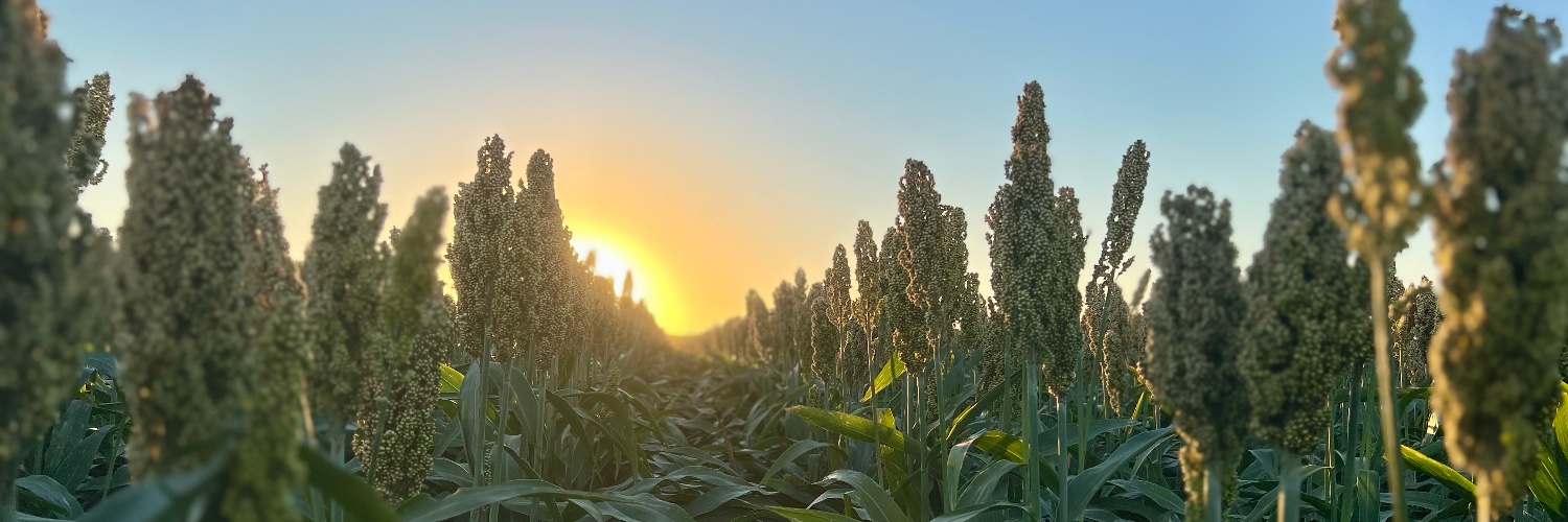 Traveling Agronomist banner