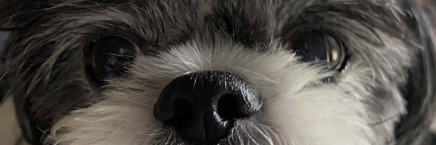 dayanaros_'s profile banner image