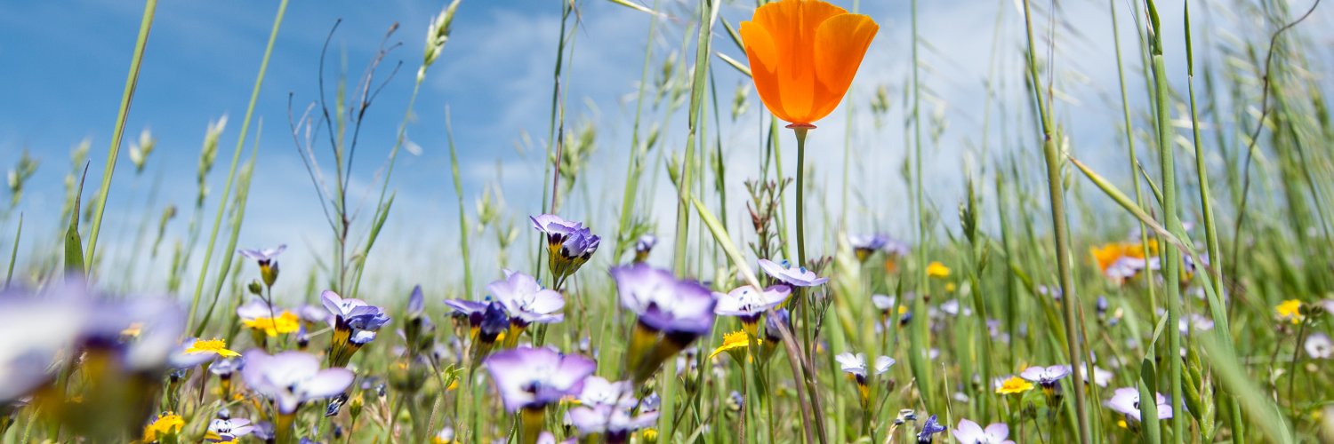 Peninsula Open Space Trust (POST) banner