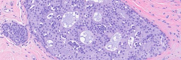 Djanne13T Profile Banner