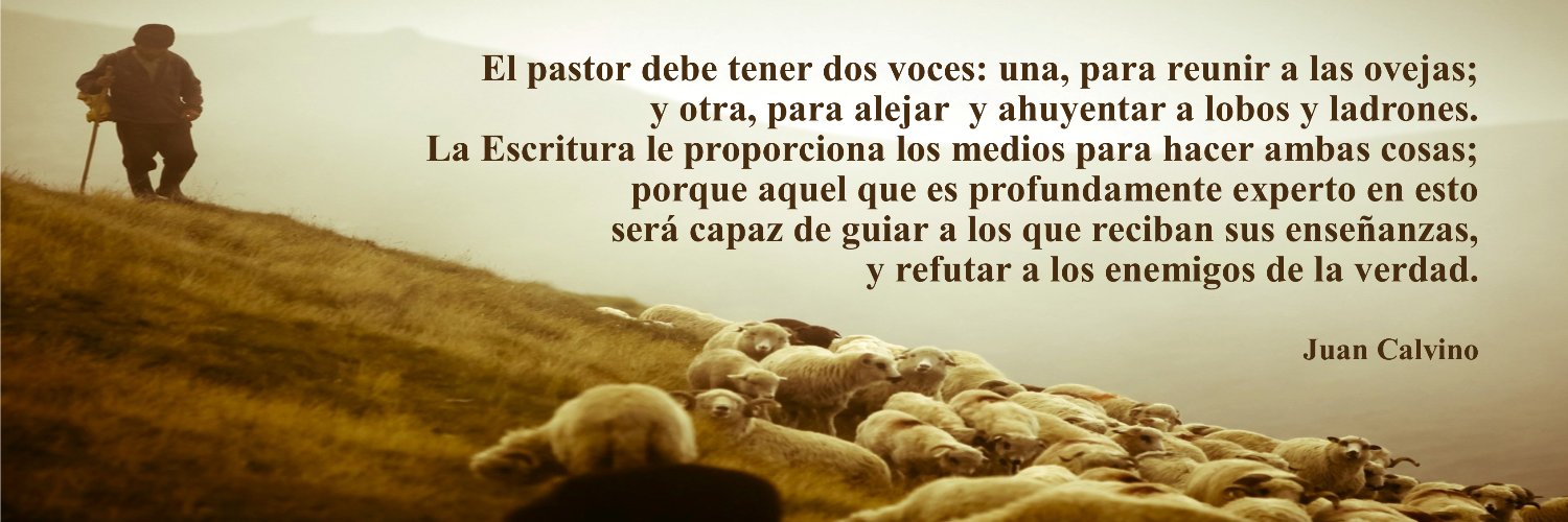 Rodrigo Avila banner
