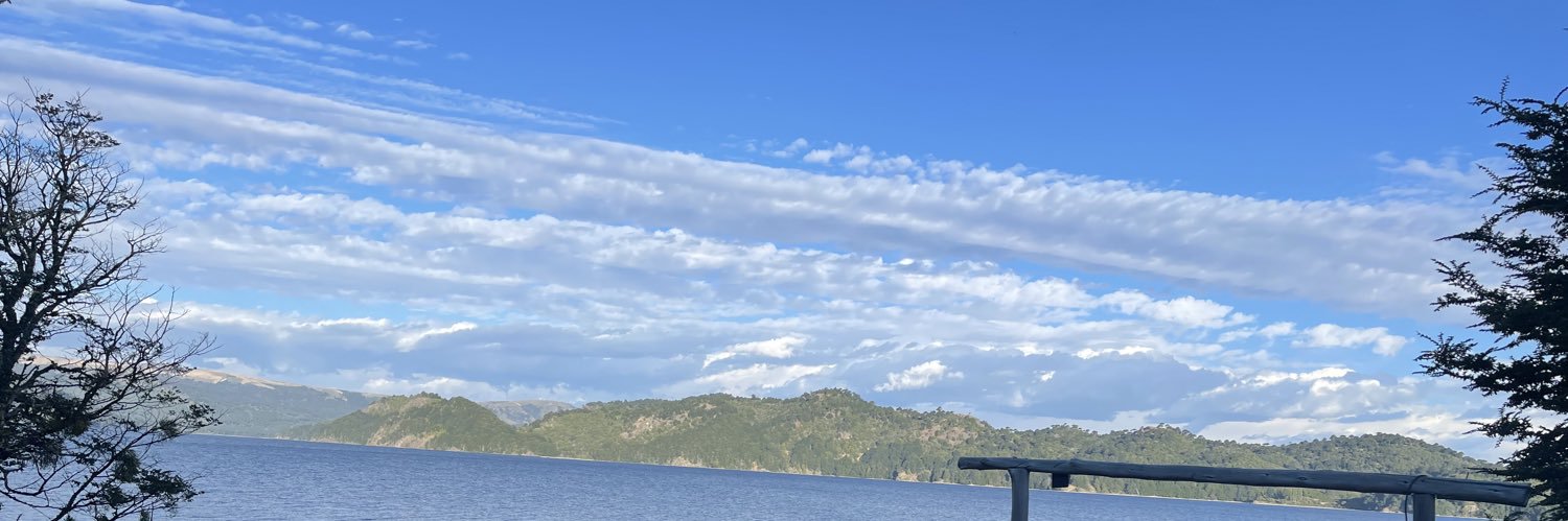 Mirtus banner