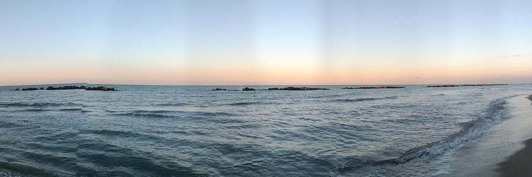 Vladimir Kerkhoff banner