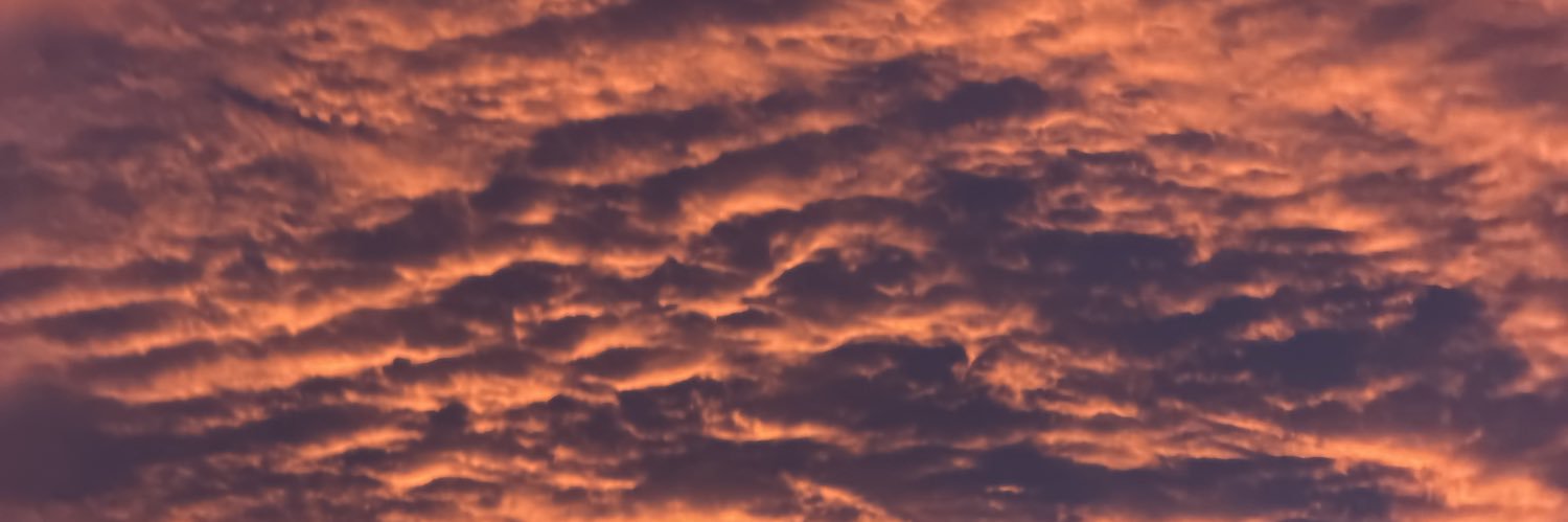 Buj banner