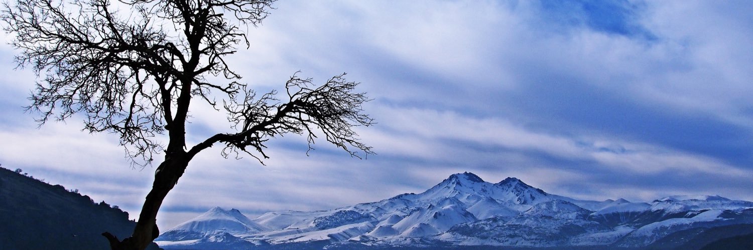 Sinem Hacıeminoğlu banner