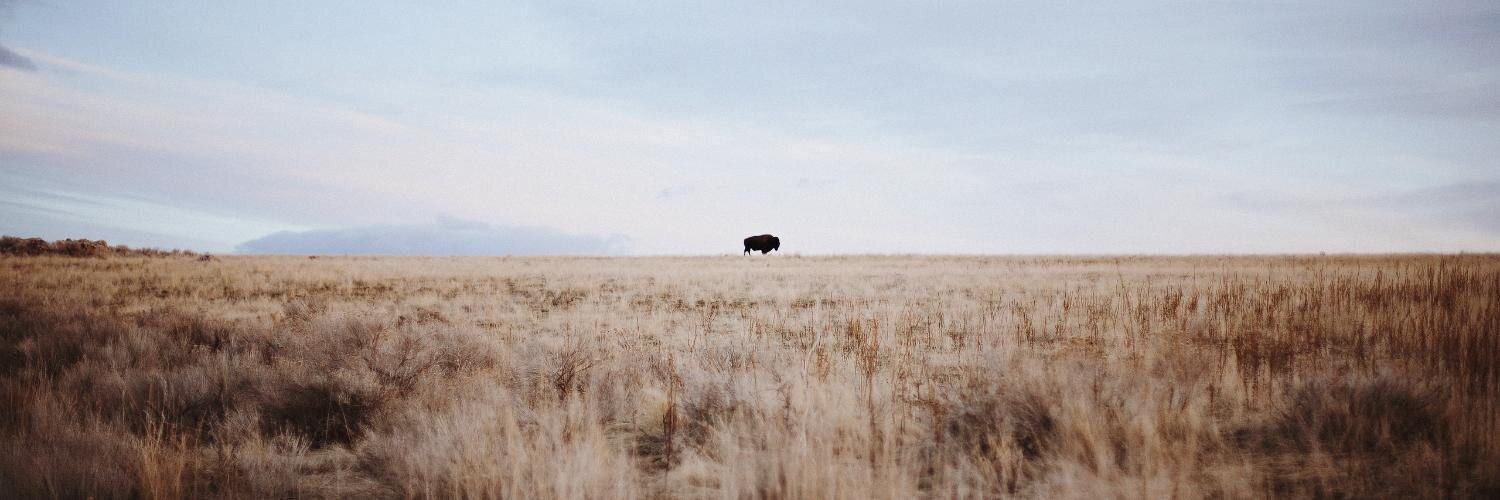 thedtj's profile banner image