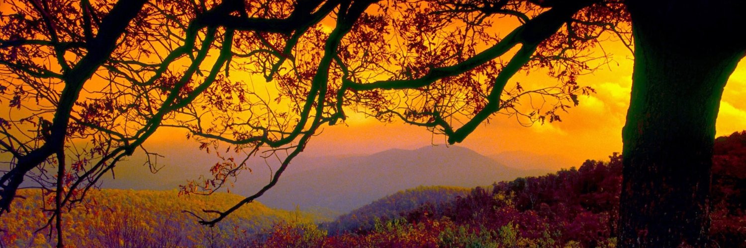 ✨Jeff Barge✨ banner