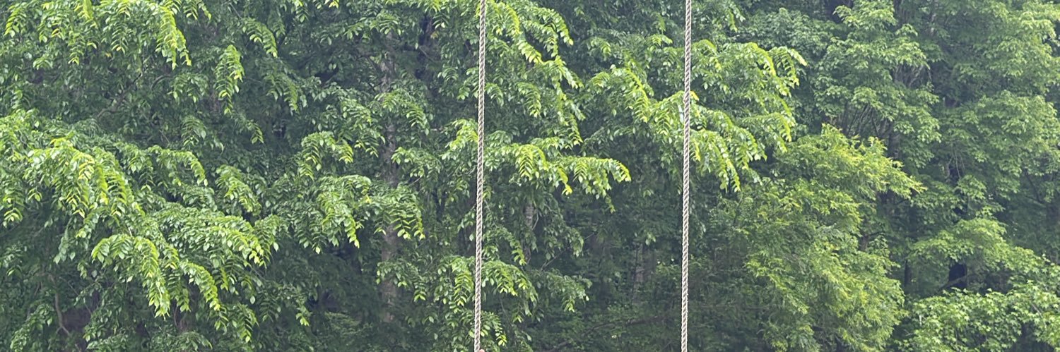 Coop banner