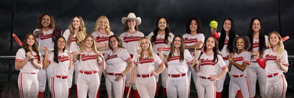SoftballMelissa Profile Banner