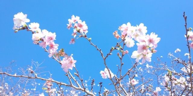 ginchangoo's profile banner image