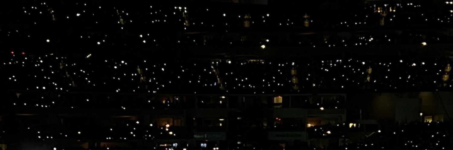 Erin Leviant banner