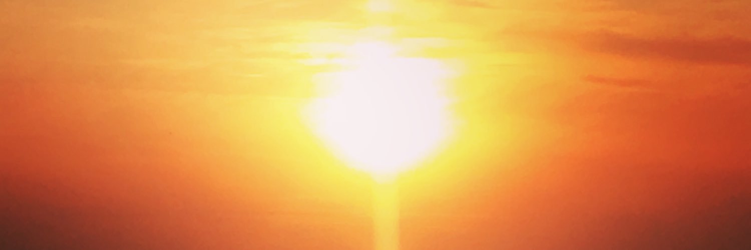 missemscott's profile banner image