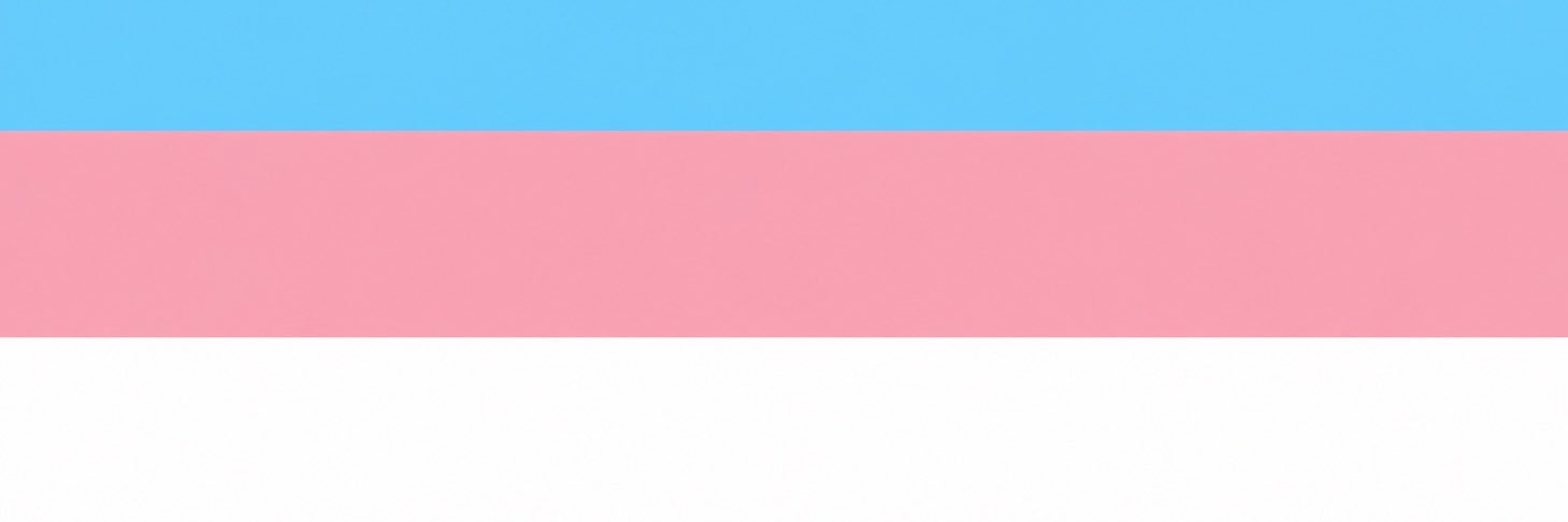 chaneltrans03's profile banner image