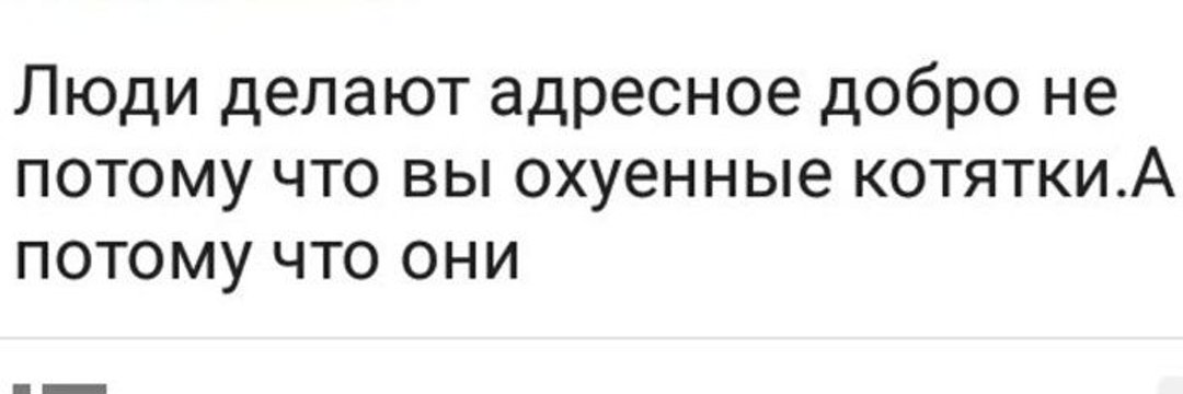 Белка на колёсах banner