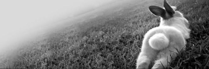 alejaaaandraV's profile banner image