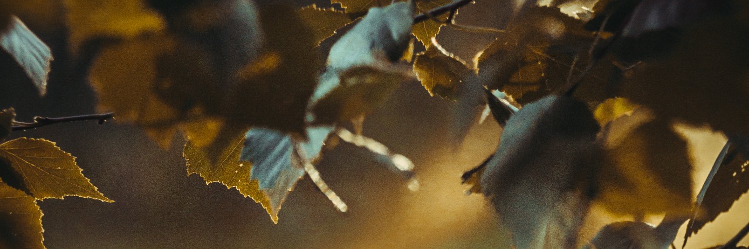 graceful degradation banner