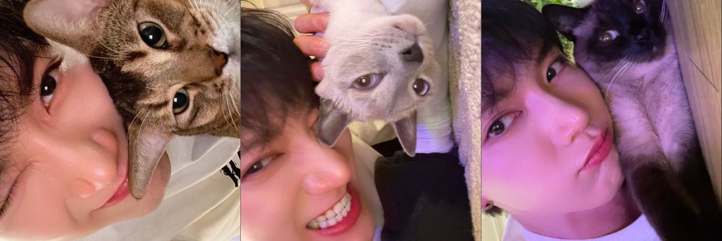 10nie_tinyLee's profile banner image